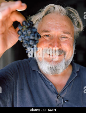 La Croatie, Hvar, portrait d'un viticulteur Andro Tomic holding smiling et raisin dans sa vinerie sur l''île de Hvar. Banque D'Images