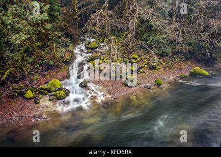Usa, Ohio, santiam pass, l'santiam river qui est un affluent de la rivière willamete est situé à côté de l'autoroute 20 Banque D'Images