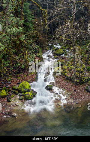 Usa, Ohio, santiam pass, l'santiam river qui est un affluent de la rivière willamete est situé à côté de l'autoroute 20 Banque D'Images