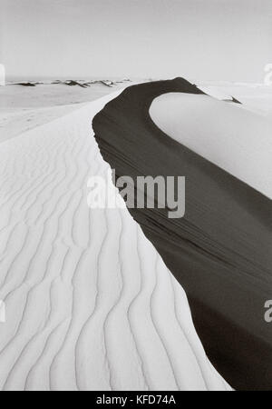 L'Arabie saoudite, dunes de sable dans le désert, le quart vide, najran (b&w) Banque D'Images
