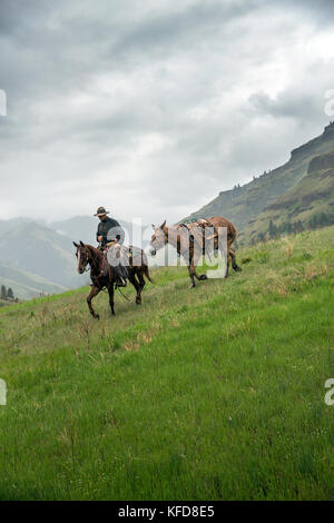États-Unis, Oregon, Joseph, Cowboy Cody Ross sort de Steer Creek et descend à Big Sheep Creek après avoir déplacé du bétail sous la pluie, dans le nord-est de l'Oregon Banque D'Images