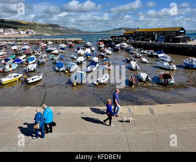 Les gens qui marchent le long de la Cobb, Lyme Regis Dorset England UK Banque D'Images