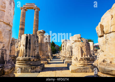 Ruines du temple d'Apollon à Didymes, Turquie. Banque D'Images