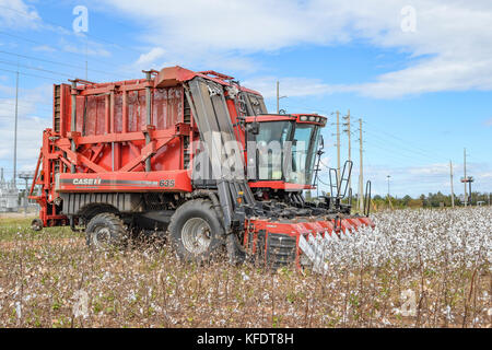 Module Express 635 CASE IH moissonneuse-batteuse cueilleur de coton, la cueillette du coton en Alabama USA, plus courte. Banque D'Images