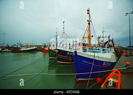 Portavogie (du port irlandais a' Bhogaigh, signifiant 'port de la tourbière') est un village, townland et port de pêche dans le comté de Down, en Irlande du Nord. Elle se trouve dans le Borough of Ards et est la colonie la plus orientale d'Irlande. Il avait une population de 2 122 personnes dans le recensement de 2011. La ville possède un port moderne, abritant une grande flotte de pêche pêchant principalement des crevettes et des harengs. La plupart des soirs, il y a des criées de poissons sur les quais. Trois peintures murales à l'extérieur de l'école locale célèbrent l'histoire de l'industrie de la pêche dans la ville. Vers 1555, il y avait une colonie à stable Hole to the n Banque D'Images