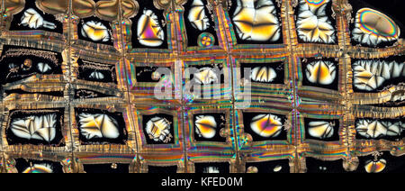 La vitamine C, les cristaux à polarisation croisée spectaculaire diapositive en utilisant un retard plaque supplémentaire, photomicrographie Banque D'Images