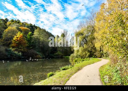 Les arbres d'automne et le lac de ninesprings country park yeovil somerset uk Banque D'Images