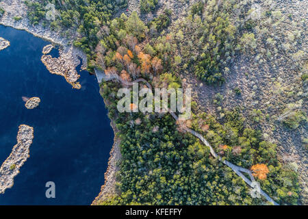 Vue aérienne sur chalupska moor en automne, le parc national de Sumava,, République tchèque. Banque D'Images