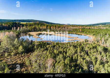 Vue aérienne sur chalupska moor en automne, le parc national de Sumava,, République tchèque. Banque D'Images