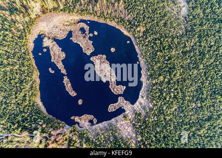 Vue aérienne sur chalupska moor en automne, le parc national de Sumava,, République tchèque. Banque D'Images