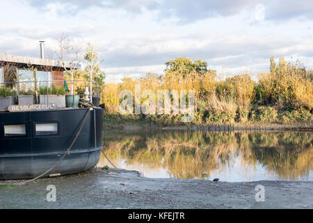 Emplacement de choix, amarres résidentielles sur la Tamise en face de Chiswick ait à Chiswick Draw Dock, à l'ouest de Londres, Royaume-Uni Banque D'Images