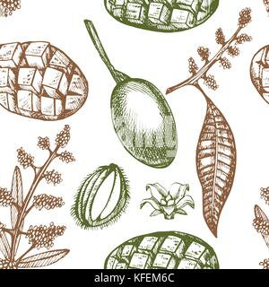 Manguier vintage motif transparent. botanical mangues. gravés mango. vector illustration. Illustration de Vecteur