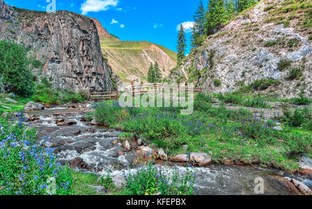 Paysage de montagne d'été ensoleillé à fleurs bleues sur le bord de la rivière qui coule rapidement entre les roches calcaires et Sandy Hills, les montagnes de l'alt Banque D'Images