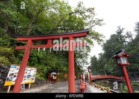 De torii rouge en bois rouge avec pont shinkyo et vert forêt après la pluie, le célèbre monument de le parc national de Nikko, Tochigi, au Japon. Banque D'Images