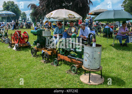 Moteurs stationnaires exposés et surveillés à Astle Park Chelford Cheshire UK lors d'un rallye à vapeur organisé chaque année dans le parc. Banque D'Images