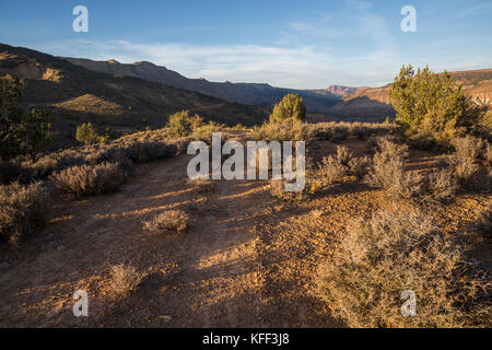 Un étroit sentier de VTT traverse la sauge et genévrier dans l'Utah du sud, juste avant le coucher du soleil. à la distance l'abrupte falaise rouge de kolob canyon en zi Banque D'Images