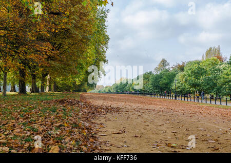 Allée cavalière à Hyde Park, à l'automne, Londres Banque D'Images