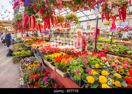 Marchande de fleurs affiche ses marchandises au marché central de Riga, Lettonie Banque D'Images