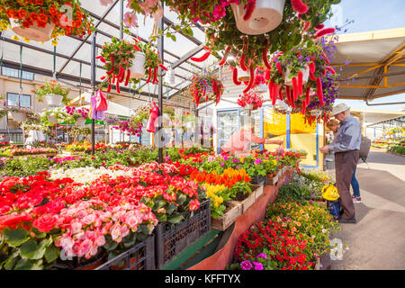 Marchande de fleurs affiche ses marchandises au marché central de Riga, Lettonie Banque D'Images