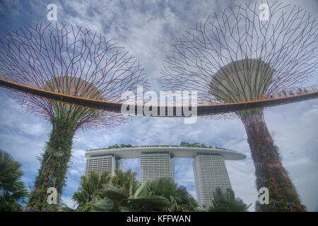 Supertrees Marina Bay Gardens Singapour PLAT000442 Banque D'Images