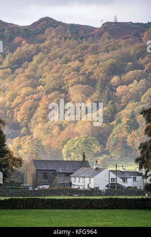 Tôt le matin, la lumière sur les cottages à Grasmere, Parc National de Lake District, Cumbria, England, UK Banque D'Images