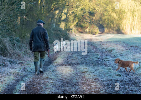 Homme marchant ses chiens sur un matin glacial sur champs cotswold Banque D'Images