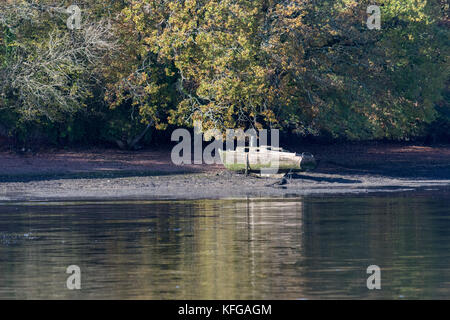 Vieux bateau sur les rives de la voie navigable de Upper Cleddau à marée basse. Banque D'Images