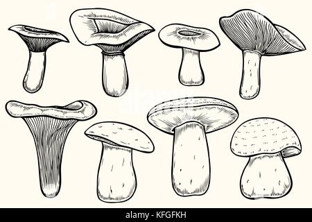 Set de champignons illustration, dessin, gravure, vecteur, line Illustration de Vecteur