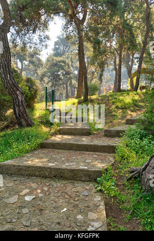 Escaliers en pierre croissant entouré par d'immenses arbres et l'herbe verte dans un parc naturel public au printemps, l'île de Büyükada (princes island), Istanbul, tu Banque D'Images
