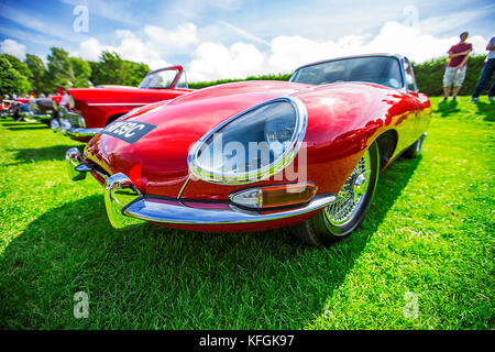 Le Jaguar e-type, ou le jaguar XK-e pour le marché nord-américain, est une voiture de sport britannique qui a été fabriqué par Jaguar Cars Ltd à partir de 1961 Banque D'Images