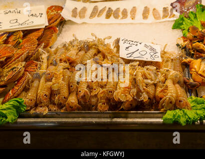 Les langoustines et les pétoncles à la vente à la criée, Venise Banque D'Images