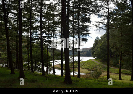 Réservoir de Howden, Derwent Valley, North Derbyshire, Sheffield, England, UK Royaume-Uni, Europe. Banque D'Images