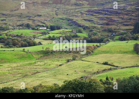 Paysage près de Bonane, Kenmare, Comté de Kerry, Irlande - John Gollop Banque D'Images