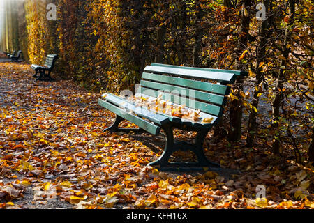 Banc en bois. Les jardins de Herrenhausen, à Hanovre, en Allemagne. Banque D'Images