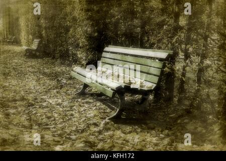 Banc en bois. Les jardins de Herrenhausen, à Hanovre, en Allemagne. Banque D'Images