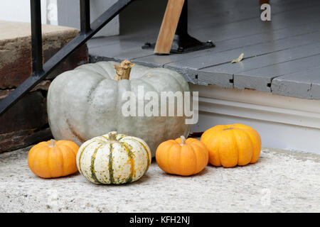 Citrouilles Banque D'Images