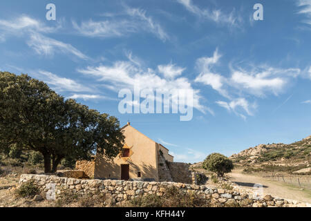 Notre dame de la chapelle en acier dans les collines entre lavatoggio lumio et debout sous un olivier centenaire dans la région de Balagne Corse avec blue sk Banque D'Images