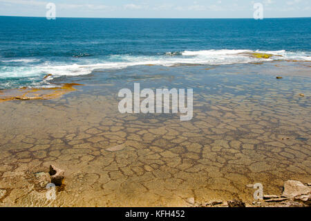 Cape vlamingh - Rottnest Island - Australie Banque D'Images