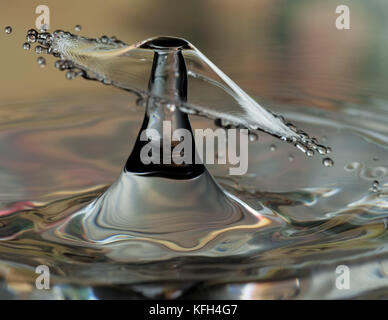 Collision entre deux gouttes d'eau, avec deuxième substitution, tout comme première liste déroulante plume est à son apogée Banque D'Images