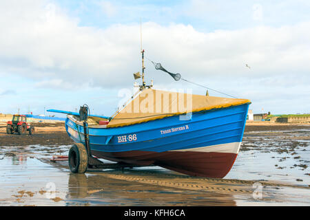 Un autre bateau de pêche à Coble est sorti de la mer après une sortie de pêche à Blyth Northumberland. Banque D'Images