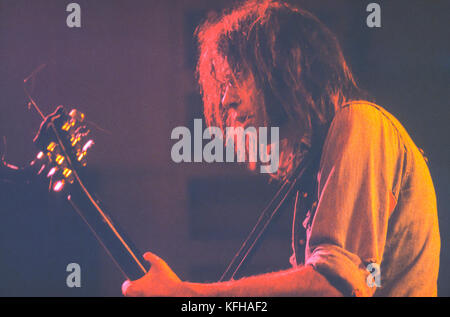 SANTA CRUZ, Californie, USA - Musicien Neil Young joue avec les canards, au catalyseur de nuit. Août 1977 Banque D'Images