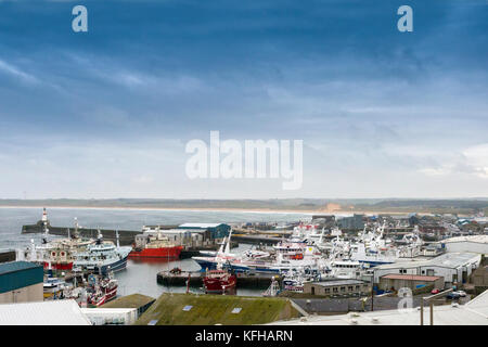Vue des chalutiers dans le port de Kinnaird Head Lighthouse, Fraserburgh, Aberdeenshire, Scotland, UK Banque D'Images