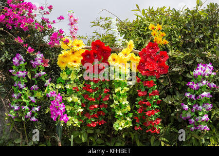 Plusieurs fleurs, couleurs rouge et jaune Banque D'Images