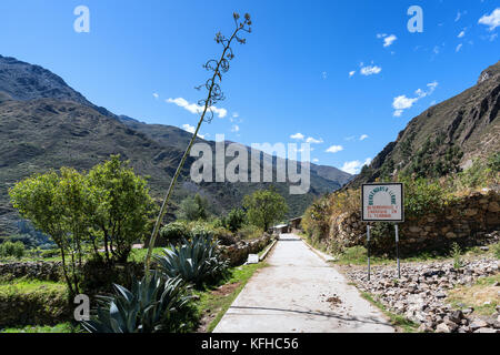 Ville de llamac, le point final de la randonnée au Pérou huayhuash Banque D'Images