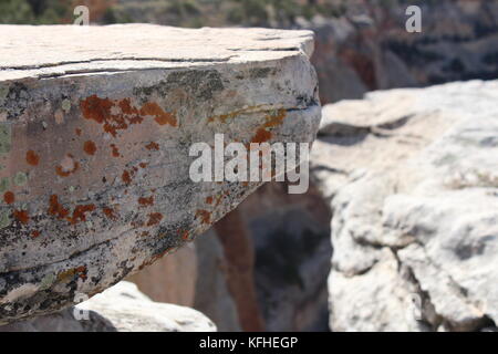 Le lichen couvrant rock dans le désert du Colorado Banque D'Images