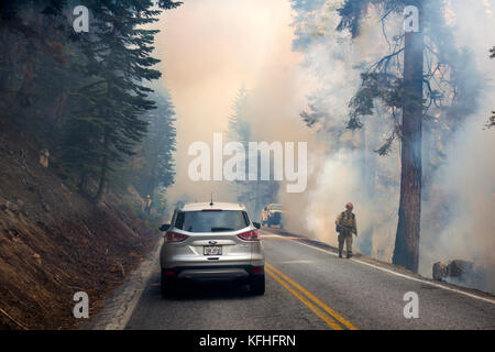 La conduite par feu de forêt dans le Parc National Yosemite. Banque D'Images