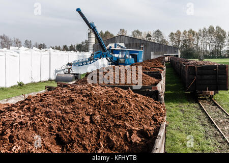 Quickborn, Allemagne. 19 octobre 2017. La zone de tourbe de Quickborn, Allemagne, 19 octobre 2017. La production de tourbe dans la région devrait prendre fin avant 2020. Crédit : Markus Scholz/dpa/Alamy Live News Banque D'Images