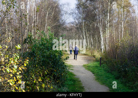 Quickborn, Allemagne. 19 octobre 2017. La zone de tourbe de Quickborn, Allemagne, 19 octobre 2017. La production de tourbe dans la région devrait prendre fin avant 2020. Crédit : Markus Scholz/dpa/Alamy Live News Banque D'Images