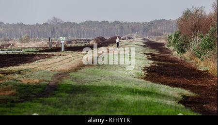 Quickborn, Allemagne. 19 octobre 2017. La zone de tourbe de Quickborn, Allemagne, 19 octobre 2017. La production de tourbe dans la région devrait prendre fin avant 2020. Crédit : Markus Scholz/dpa/Alamy Live News Banque D'Images