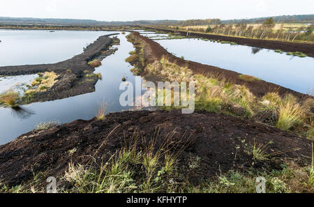 Quickborn, Allemagne. 19 octobre 2017. La zone de tourbe de Quickborn, Allemagne, 19 octobre 2017. La production de tourbe dans la région devrait prendre fin avant 2020. Crédit : Markus Scholz/dpa/Alamy Live News Banque D'Images